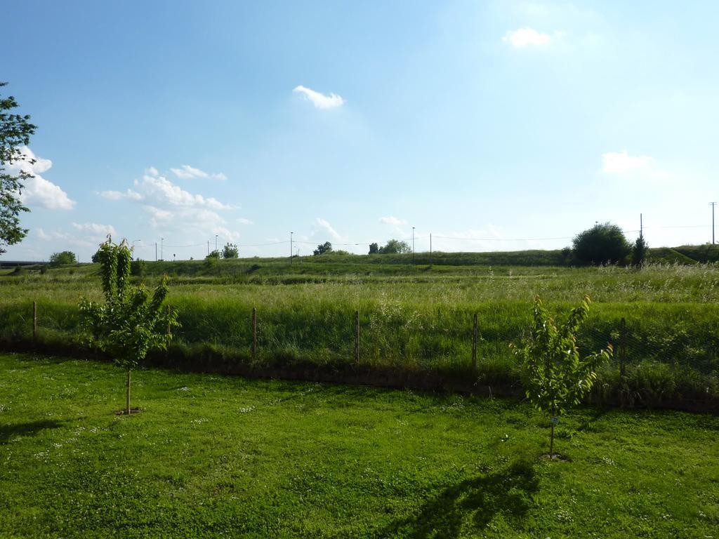 Azienda Agricola Marin Este Luaran gambar